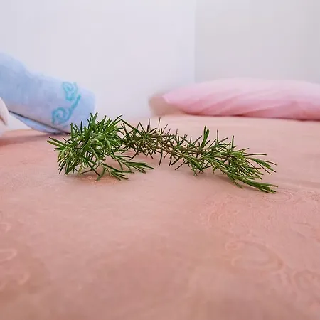 아파트 Dino